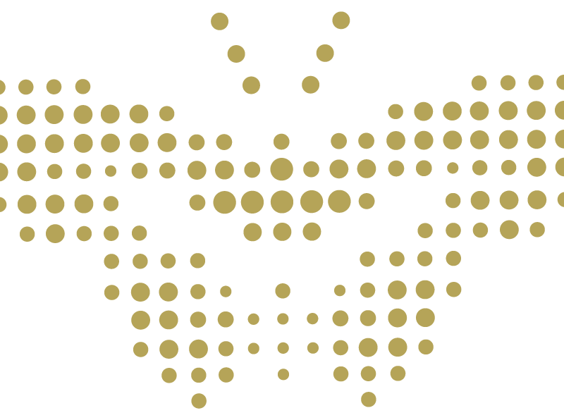 What’s with the butterfly?