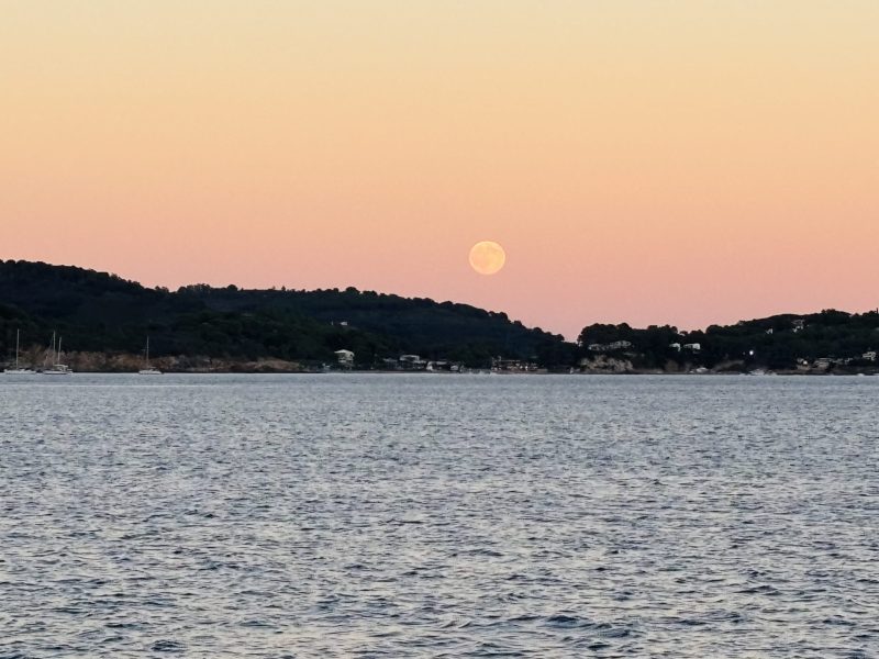 New Moon, New Season